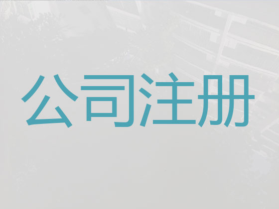 嘉兴专业注册公司代办专员,注册有限责任公司办理代办,开公司找我司